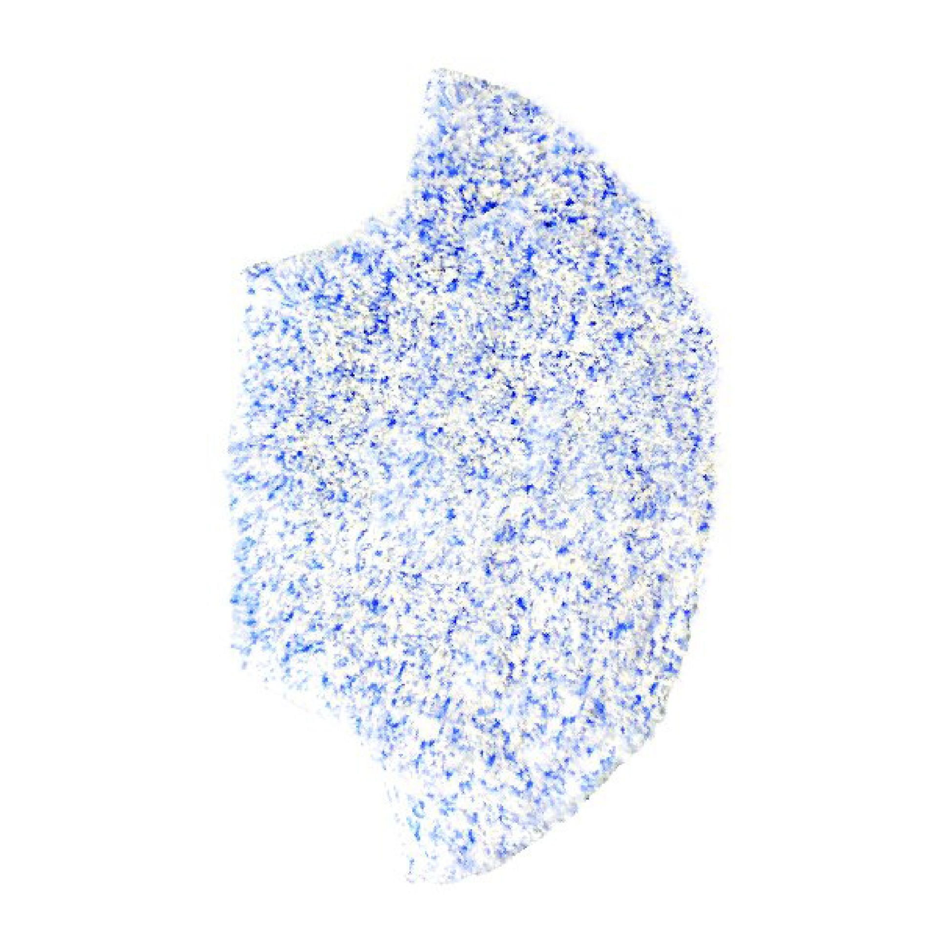 Elysia Robot Süpürge Uyumlu Mop